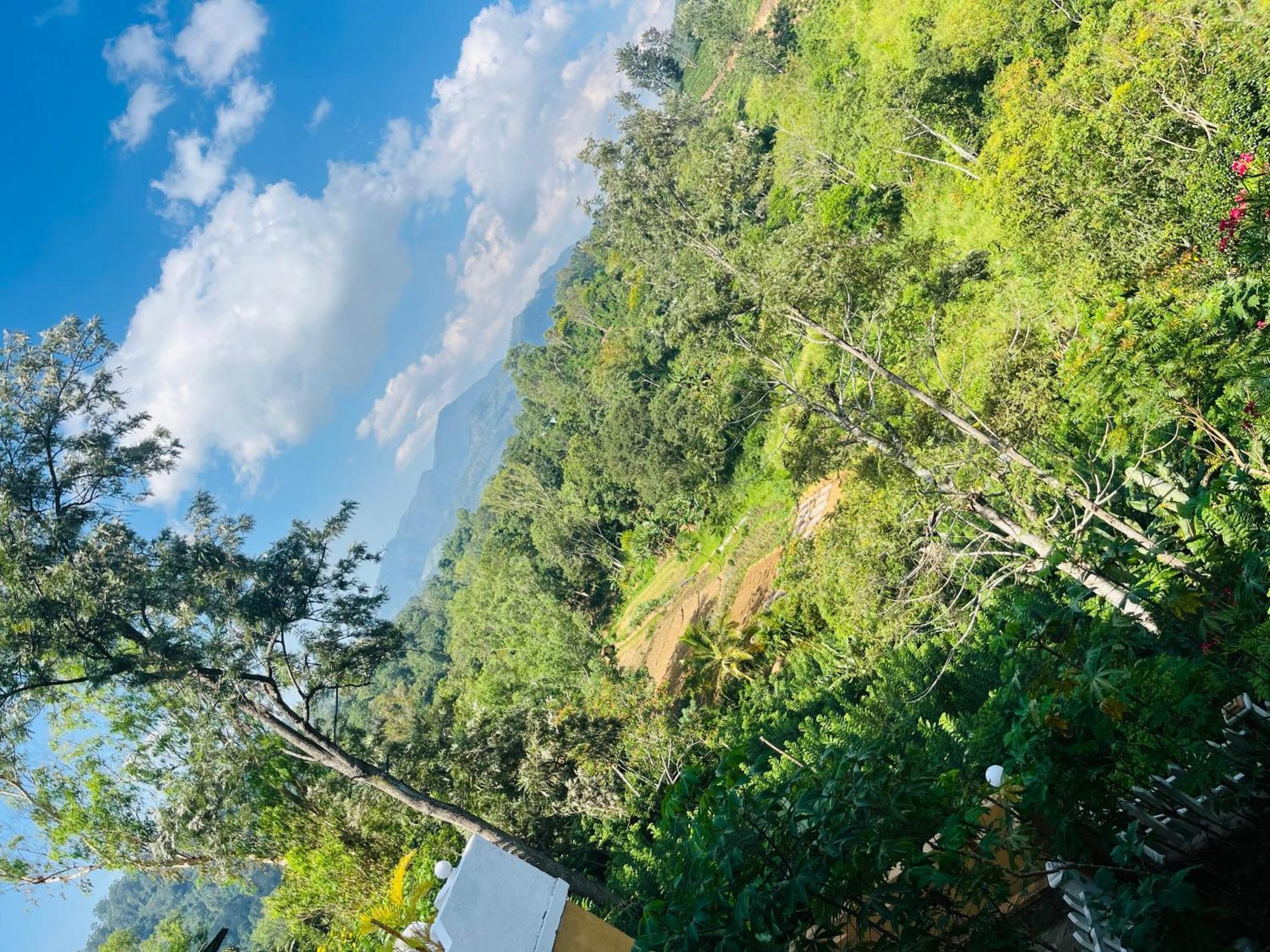 Viyanga Homestay エッラ エクステリア 写真