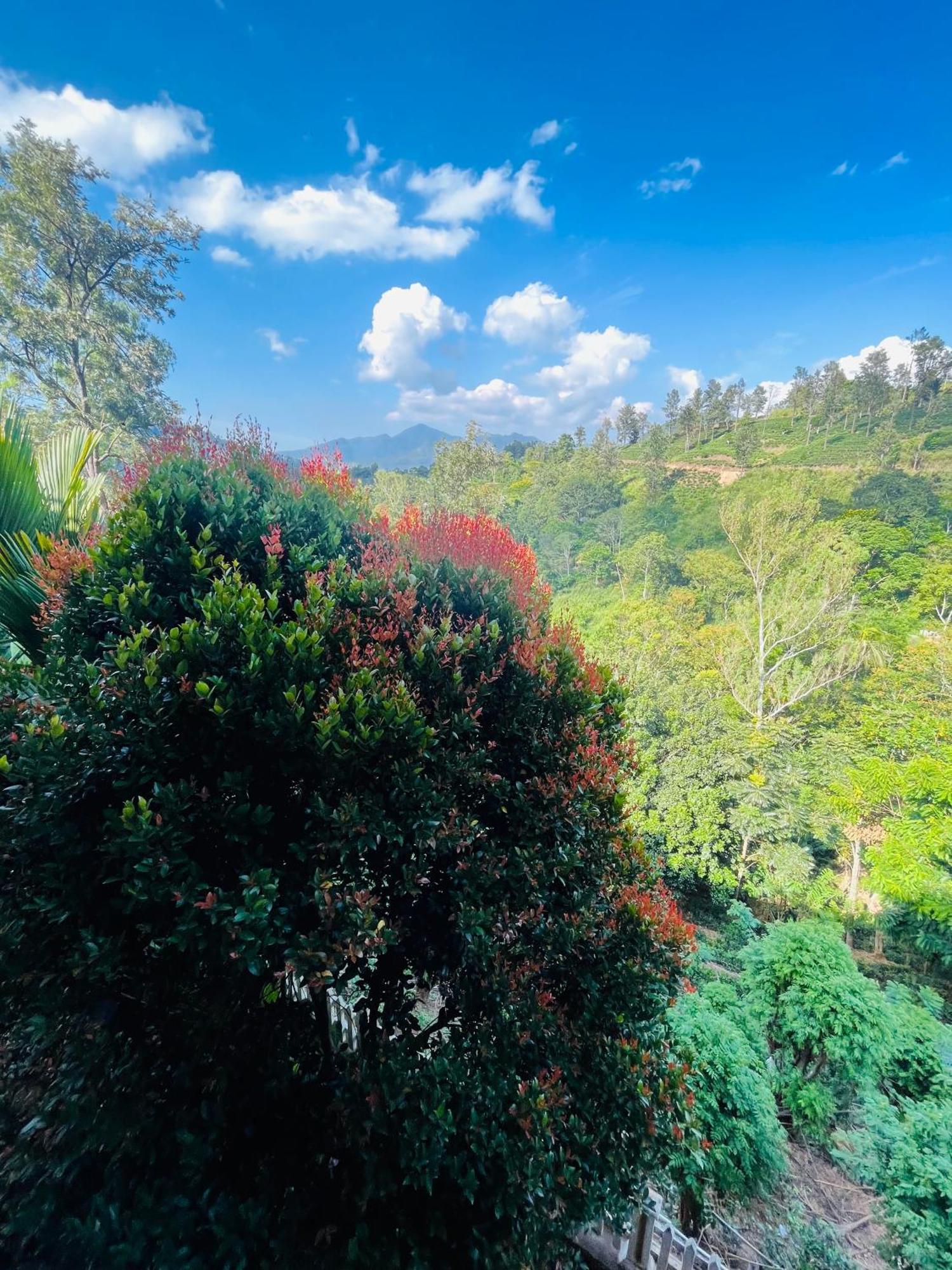 Viyanga Homestay エッラ エクステリア 写真