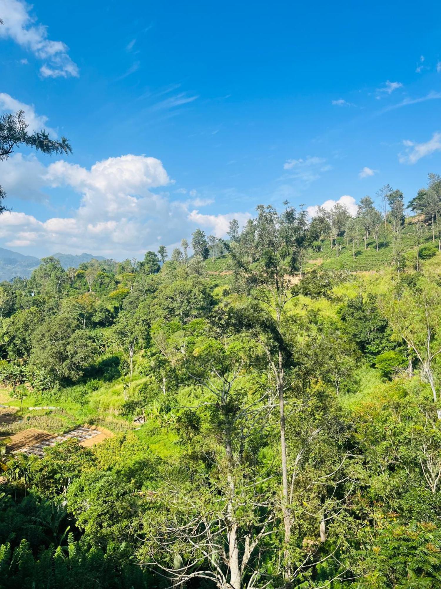 Viyanga Homestay エッラ エクステリア 写真